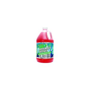 Starbrite 31500PK -100°F Non-Toxic Premium Antifreezee, Gal., Red